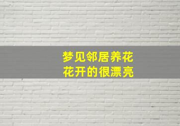 梦见邻居养花 花开的很漂亮